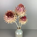 Getrocknete Artischocke, Cynara, Blüte auf Holzstab, 3 Stiele