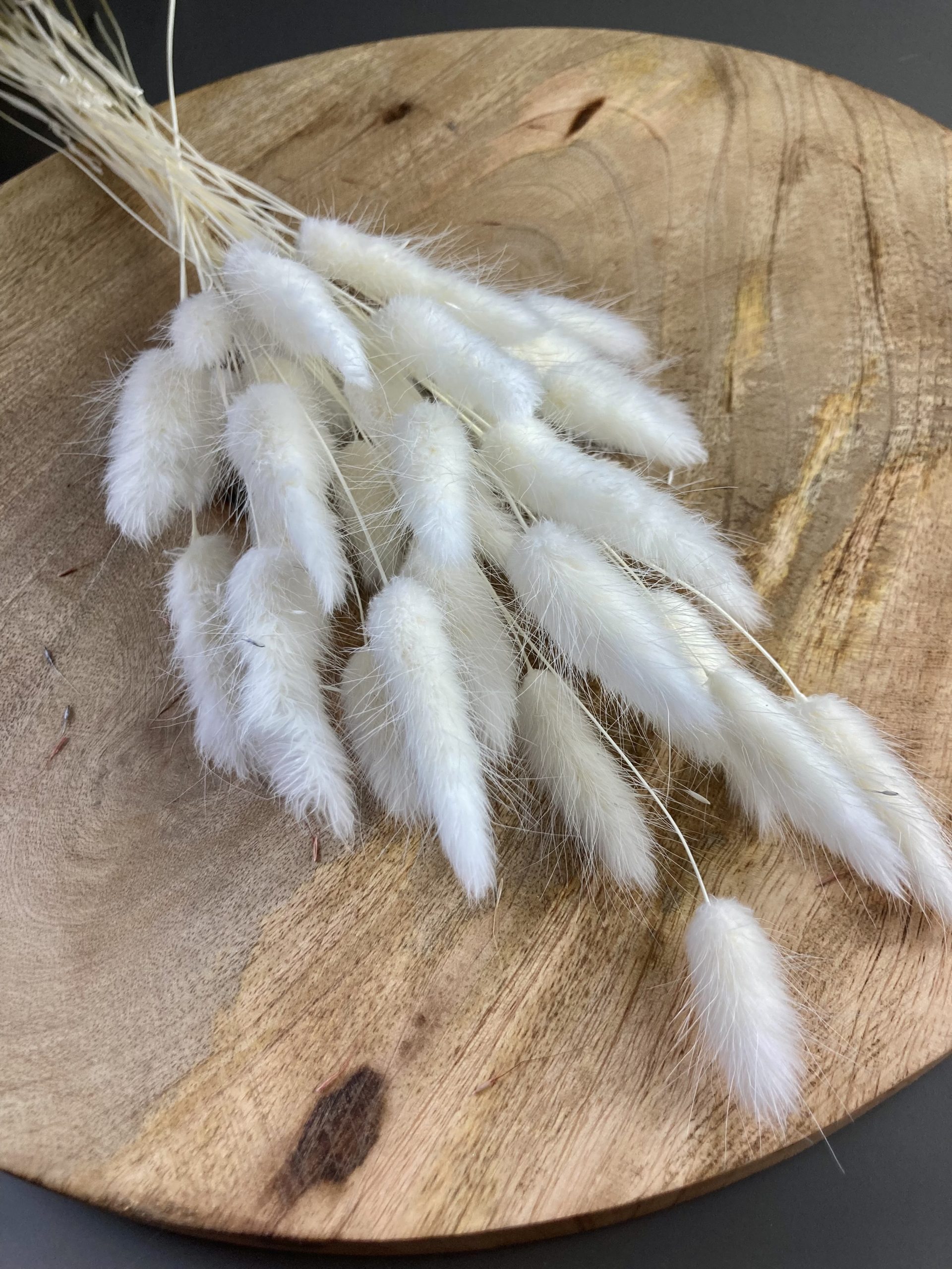 IMG_5209 Lagurus dried white - Dried flowers - Bunny Tails - Preserved velvety soft grasses for natural decoration - Image 1