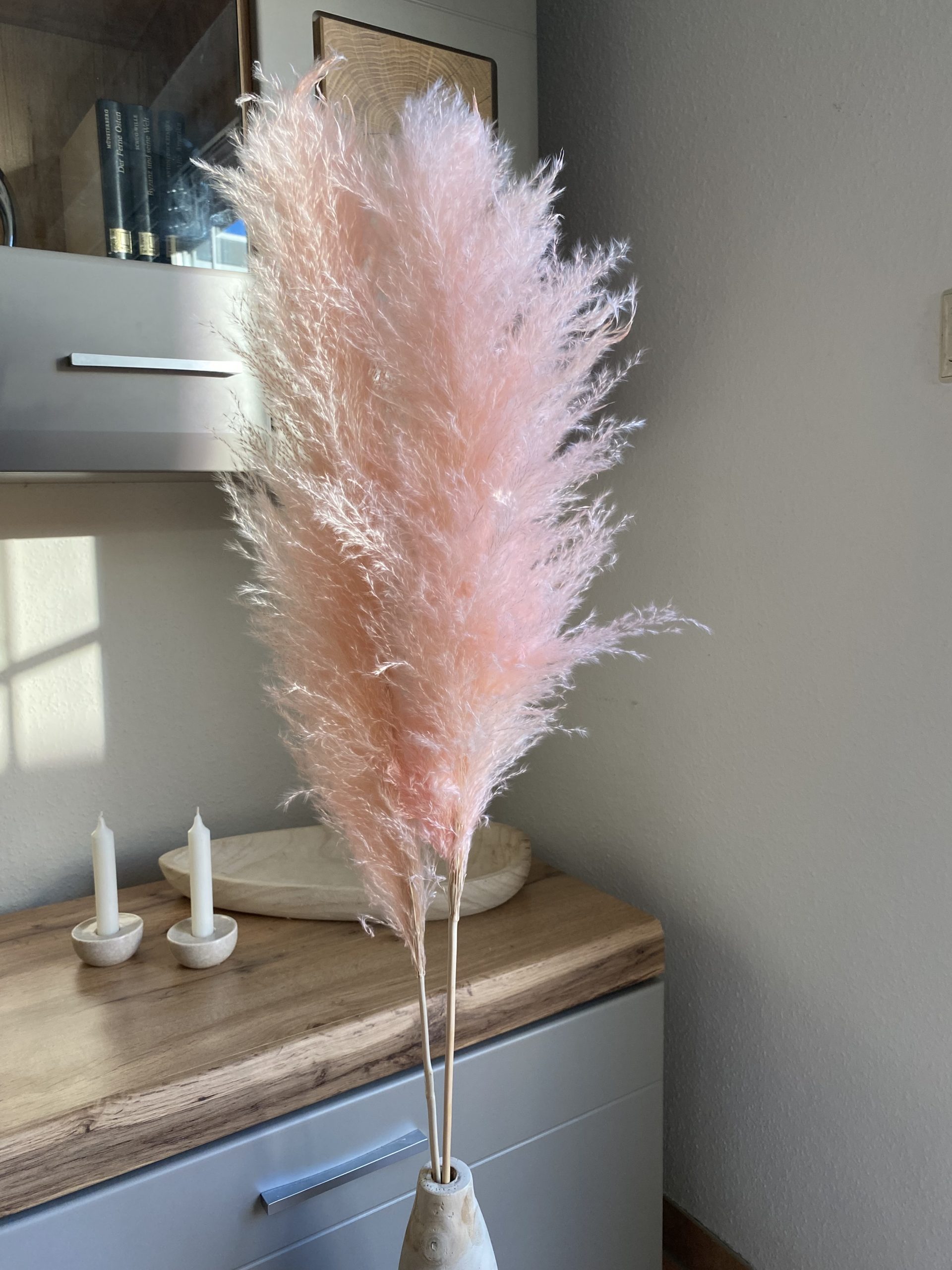IMG_1519 Pampasgras rosa XL flully, getrocknet, Boho style – Bild 1
