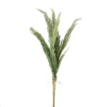 Pampasgras mintgrün, getrocknet, Cortaderia, 100cm