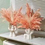Pampas grass rose-apricot, dried, fluffy, 5 stems