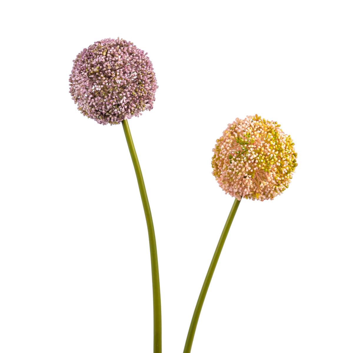 img_8192-1.jpg Allium - silk flower - artificial flower - 71 cm, pink/mauve - elegant decoration - Image 1