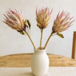 Getrocknete Protea Blume in Pink - Trockenblumen - große Blüte - 3 Stück - Tropische Blume