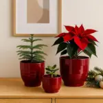 Roter Blumentopf – Weihnachtsdeko - Pflanztopf für Weihnachtsstern - Übertopf Keramik